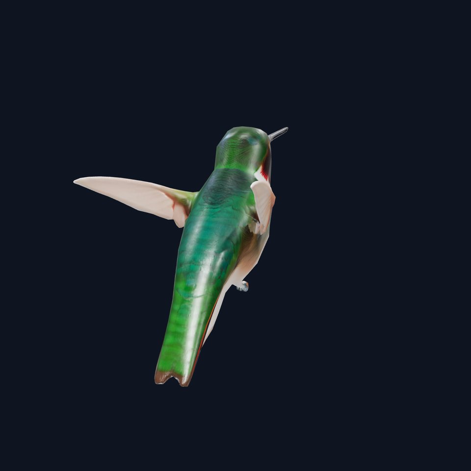 Emerald Hummingbird model pack
